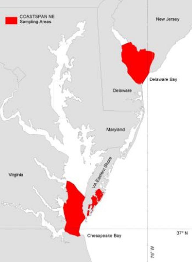 Sampling areas in the Northeast U.S. ©  Cami McCandless / NOAA Fisheries