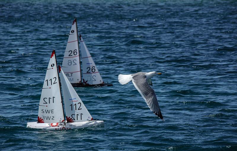 IOM European Championship in Rogoznica - photo © JK Val Šibenik