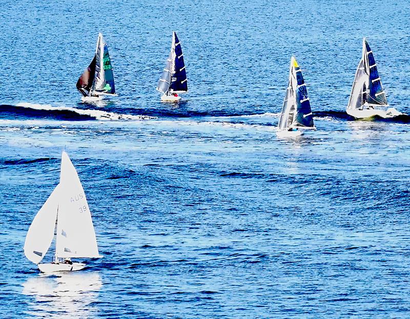 Tsunami Warning… photo copyright Ray Smith taken at Royal Freshwater Bay Yacht Club and featuring the 2.4m class
