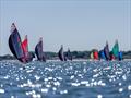 Kiel 29er EuroCup &copy; Sascha Klahn / Kieler Woche