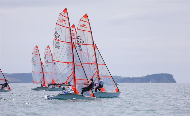29er - OceanBridge Sail Auckland - Torbay - February 1, 2026 - photo © Jacob Fewtrell/Insight Media