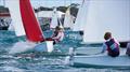 © Blairgowrie Yacht Squadron Close racing in the Australiaan Secondary Schools Team Racing at Blairgowrie Yacht Squadron in July © Blairgowrie Yacht Squadron