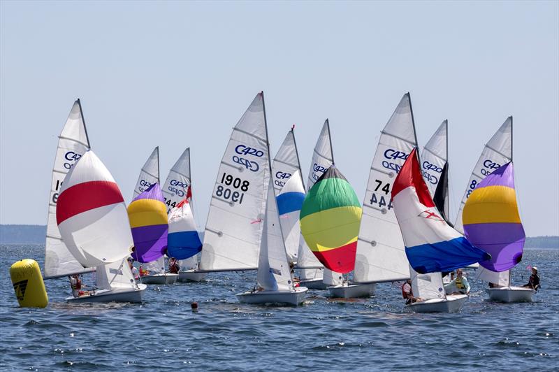 2026 Camden Classics Cup - photo © Alison Langley