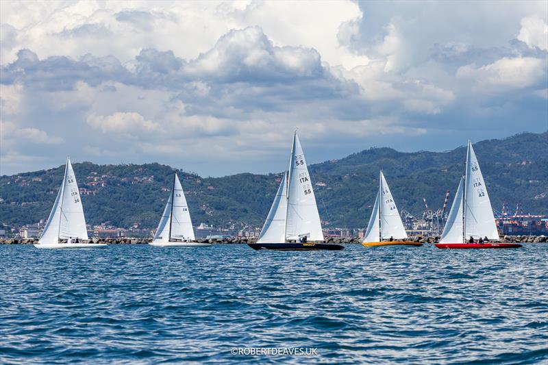 Race 6 - 5.5 Metre Enoshima Trophy 2025 - photo © Robert Deaves