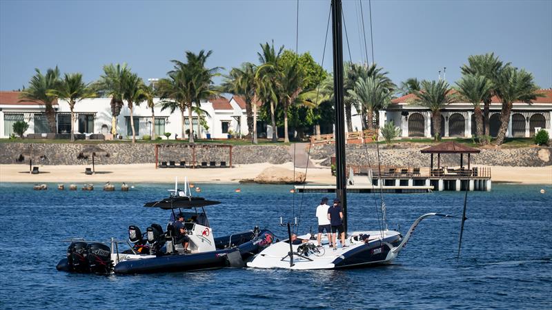 Alinghi Red Bull Racing -  AC40 - Day 60 - Jeddah - November 10, 2023 photo copyright Alex Carabi / America's Cup taken at  and featuring the AC40 class