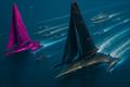 Another shot of the starting moment — The Ark and The Charybdis, locked in simulated tension © Pierre-Jean Cottalorda