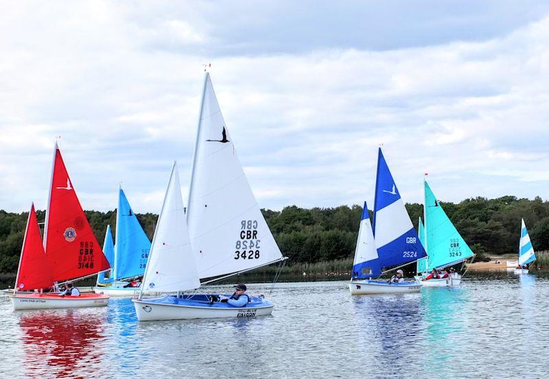 Frensham Hansa TT - Mixed 303 fleet - photo © Tony Machen