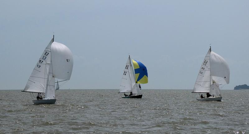 Orwell VI, Telamon and Avocet during the Ajax East Coast Championship at Royal Harwich Yacht Club photo copyright Hazel Mayhew taken at Royal Harwich Yacht Club and featuring the Ajax class