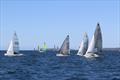 Vincentia Sailing Club's Jervis Bay Classic 2026 &copy; John Quinn