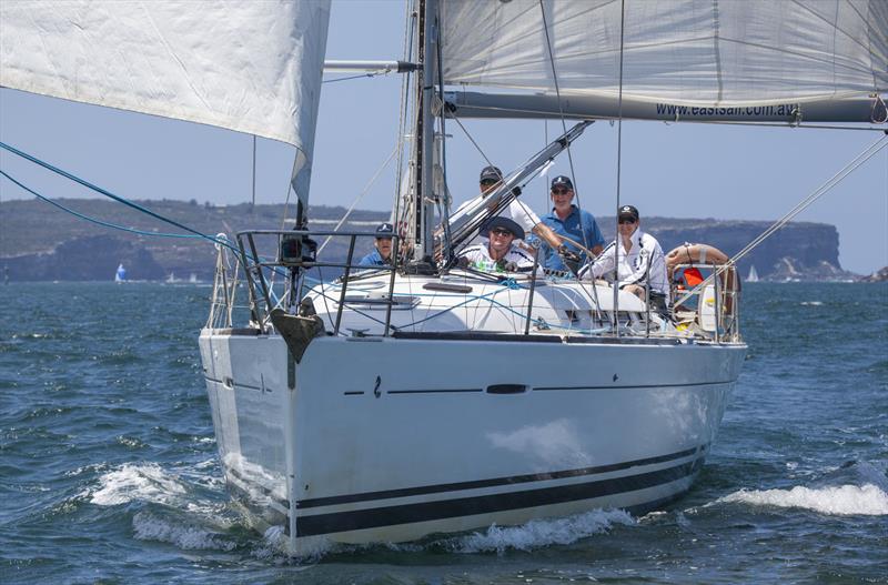 Iago on the way back from Manly - photo © John Curnow