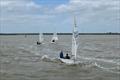 Cadet class at the Corinthian Otters open meeting in Burnham &copy; Jo Jones