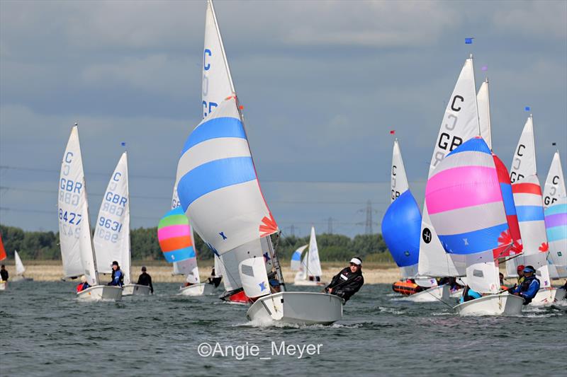 Cadet Inland Championship at Queen Mary photo copyright Angie Meyer taken at Queen Mary Sailing Club and featuring the Cadet class