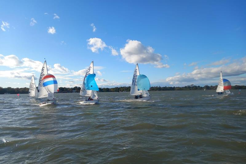 Cadet class open meeting at Waldringfield - photo © Duncan Bush