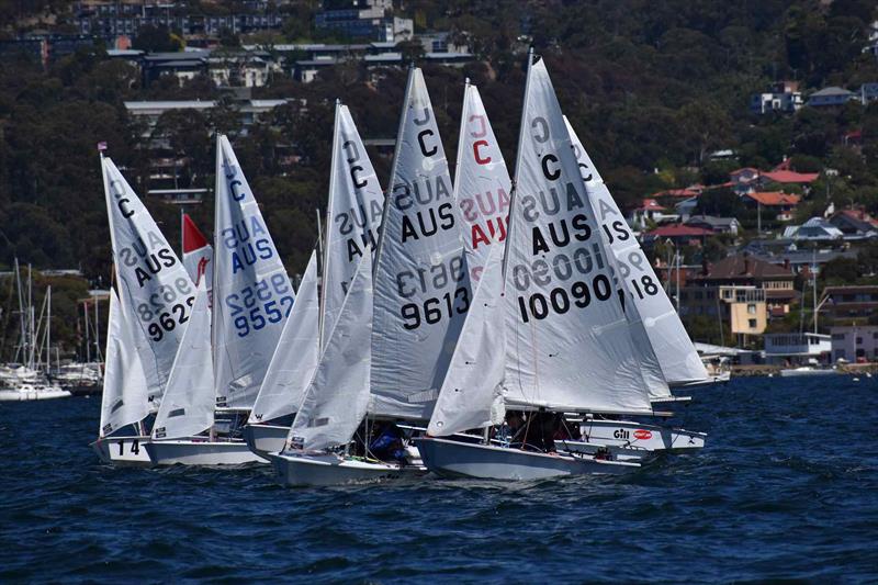 A tight bunch of International Cadets on the start line of the first race in the 2026 Banjo's Shoreline Crown Series Bellerive Regatta - photo © Jane Austin