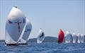 2025 Cape 31 Med Circuit Round 2 at Porquerolles © Mauro Melandri Zerogradinord