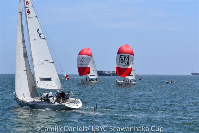 Seawanhaka International Challenge Cup photo copyright Camille Daniels taken at Long Beach Yacht Club and featuring the Catalina 37 class