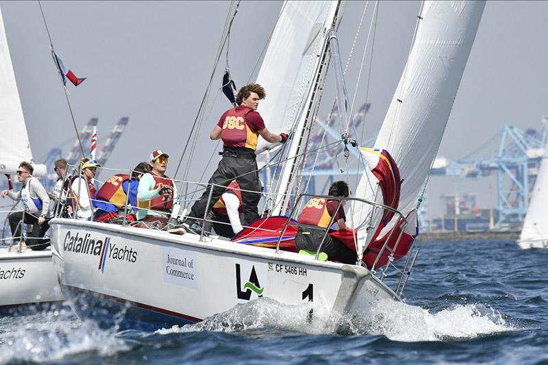 POLA Harbor Cup photo copyright Betsy Crowfoot taken at Los Angeles Yacht Club and featuring the Catalina 37 class