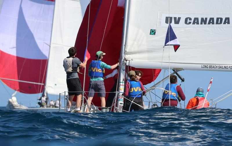 Port of Los Angeles Harbor Cup - Day 1 - photo © Bronny Daniels / Joysailing.com