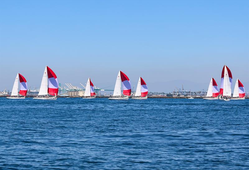 2025 Port of Los Angeles Harbor Cup - photo © Bronny Daniels / Joysailing.com