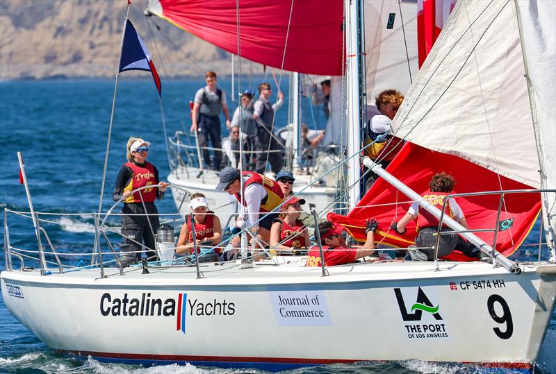 Port of Los Angeles Harbor Cup - photo © Bronny Daniels/ Joysailing.com