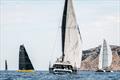 2025 Multihull Cup Day 3
