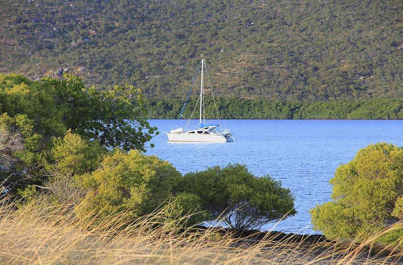 Making the most of her shallow draft, this cruising cat is nestled away up against the mangroves photo copyright John Curnow taken at  and featuring the Catamaran class