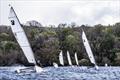Sailability Scotland Challenger Traveller Series at Castle Semple © Joe Reilly