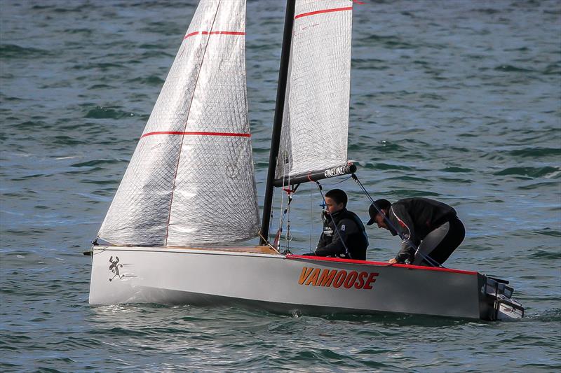 Cherub - Waitemata Harbour - June 2020 photo copyright Richard Gladwell / Sail-World.com taken at Wakatere Boating Club and featuring the Cherub class