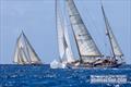 Antigua Classic Yacht Regatta 2025 &copy; Tim Wright / www.photoaction.com