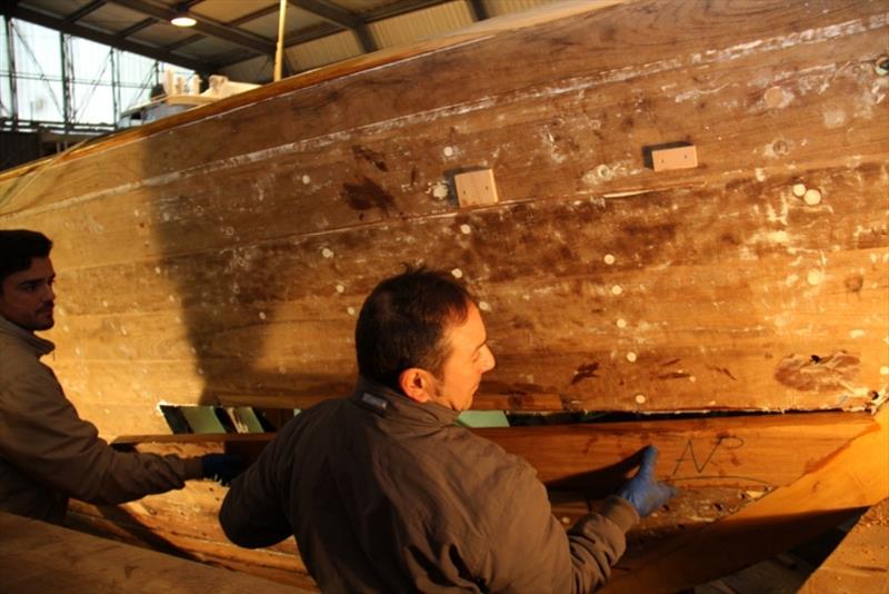 The great return of vintage yacht Tirrenia II - photo © Paolo Maccione