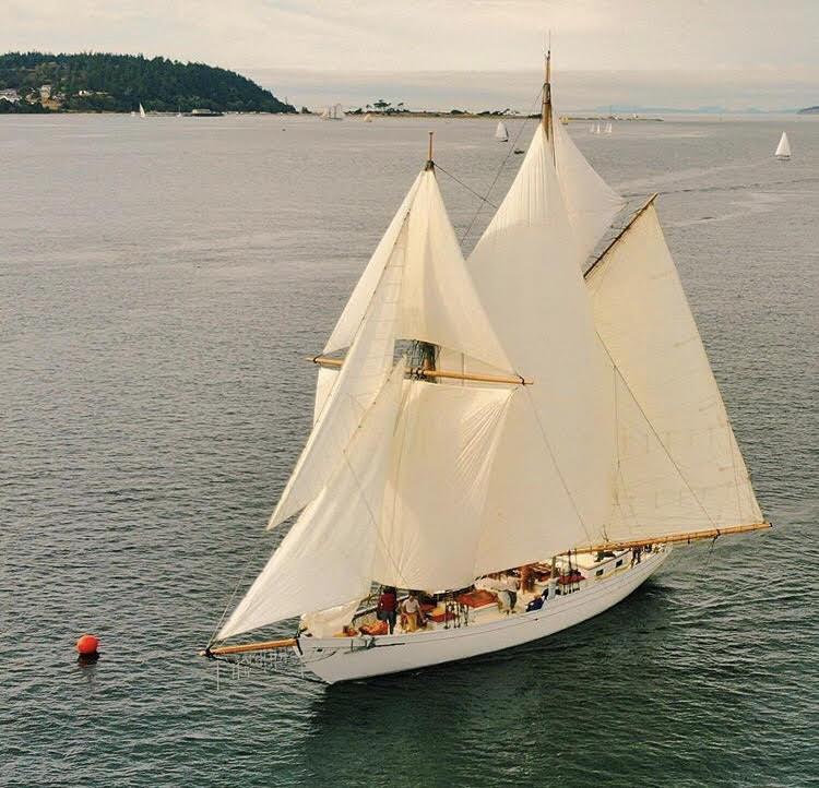 Alcyone photo copyright woodenboat.org taken at  and featuring the Classic Yachts class