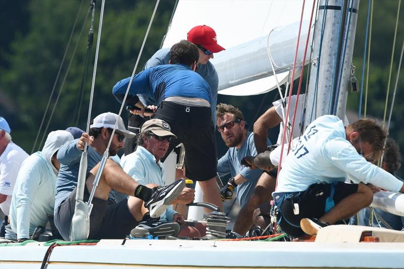 Tiedemann Classics Regatta 2026 - photo © Stuart Streuli / NYYC