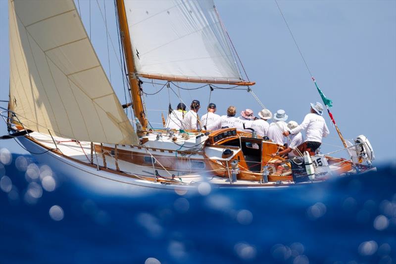Clarionet - 19th Puig Vela Clàssica Barcelona - photo © Nico Martínez