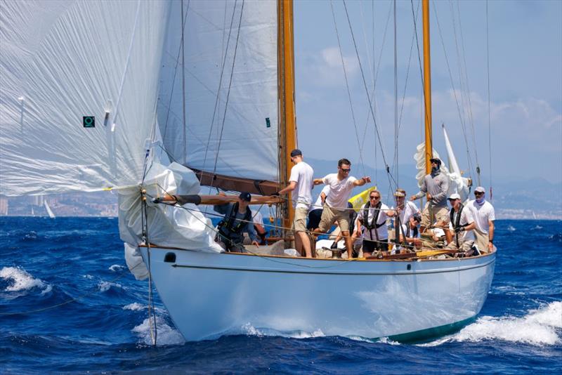 Varuna VII - 19th Puig Vela Clàssica Barcelona - photo © Nico Martínez