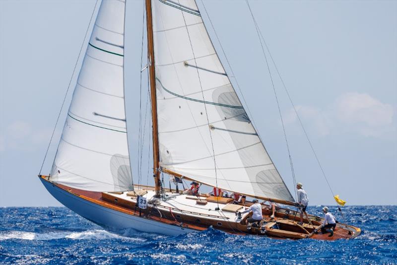 Ándale - 19th Puig Vela Clàssica Barcelona - photo © Nico Martínez