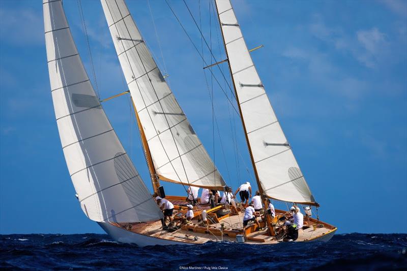 Recluta - 19th Puig Vela Clàssica Barcelona - photo © Nico Martínez