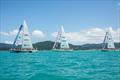 The Clipper Race fleet in the Whitsundays © Brooke Miles Photography