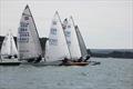 Poole Contender Open  © Elysia Ehrhart