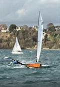 Contender during the Sailing South West event at Castle Cove &copy; Martin Pascoe
