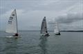 Singlehander open meeting at Lymington Town &copy; Lou Johnson