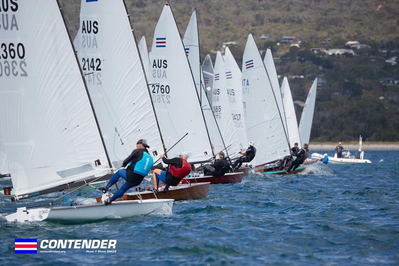 2025 Victorian Contender Class Championship day 2 photo copyright Shane Baker taken at McCrae Yacht Club and featuring the Contender class