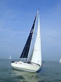 Contessa 32 2025 Inshore Series 1 at the Island Sailing Club, Cowes - Drumbeat racing in light airs © Clive Hughes