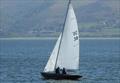 Conwy Fife One Design 'A' Series race 8 © Ian Bradley