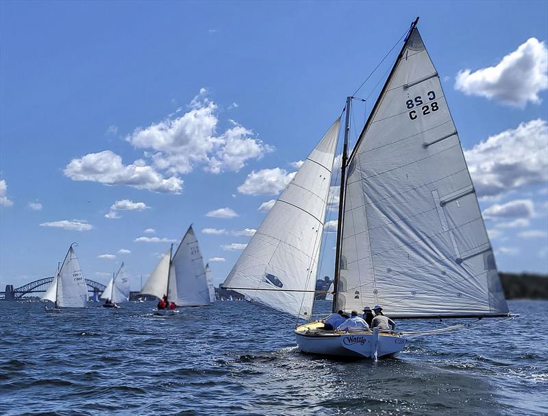 Sydney Couta Boat Week - Wattle on Sydney Harbour - photo © Couta Boat Association