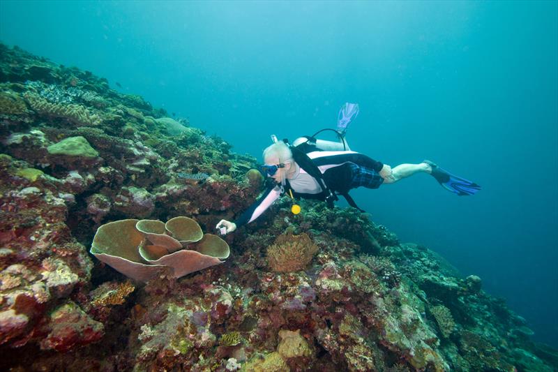 Cabbage Coral in Fiji photo copyright Tradewind Voyages taken at  and featuring the  class