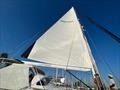 New mainsail