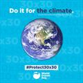 © World Ocean Day