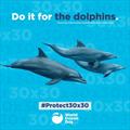 © World Ocean Day
