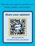 © World Ocean Day