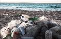 Collecting plastic from beaches helps save the ocean from microplastics